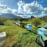 Tenuta Naturale Camping