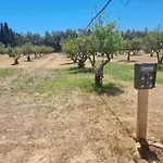 Tenuta Naturale Camping