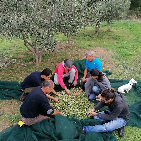 Campsite Tenuta Naturale *