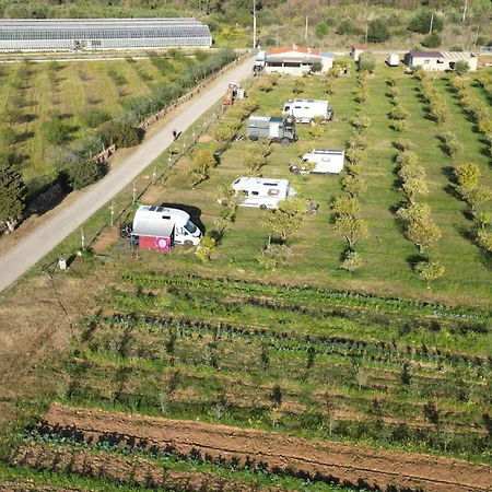 Tenuta Naturale *