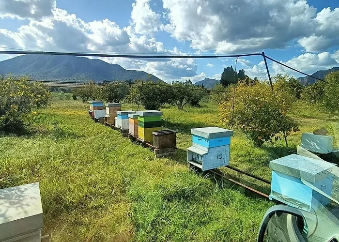 Tenuta Naturale Kemping