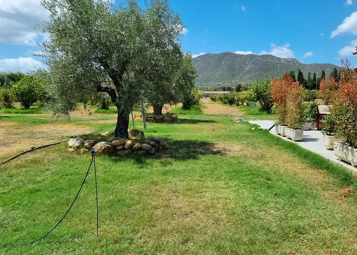 Kemping Tenuta Naturale *