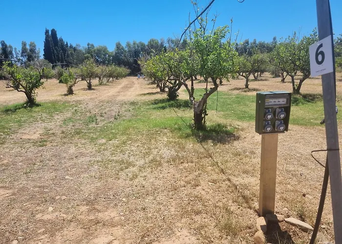 Tenuta Naturale 营地